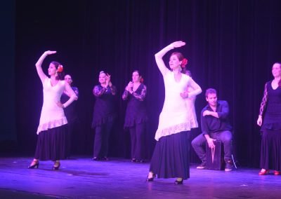 Flamenco - Apresentação